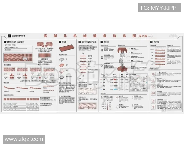 游泳装备全攻略如何根据需求选择最适合你的泳具与配件 游泳装备全攻略如何根据需求选择最适合你的泳具与配件